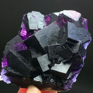 265gnatural Cube Deep Purple Fluorite Crystal Cluster Mineral Specimen/china