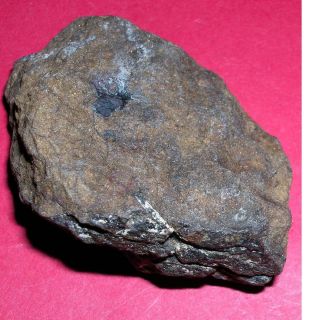 Al Haggounia 001 Meteorite: 71.  5 Gram Individual