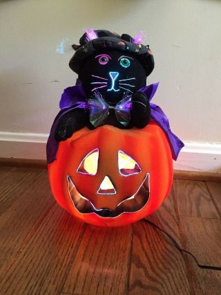 2004 Halloween Fiber Optic Cat In Pumpkin Jack - O - Lantern