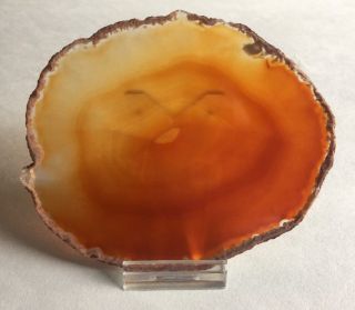 Amber Colored Agate Geode Slab Slice Quartz Polished Stone 4x5 "