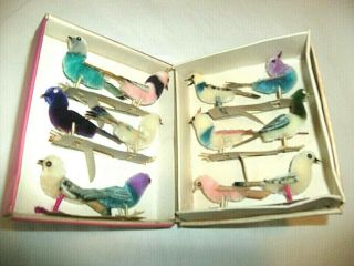 12 Vintage Colorful Chenille Birds,  Box,  Old Stock,  Feather Tree Si