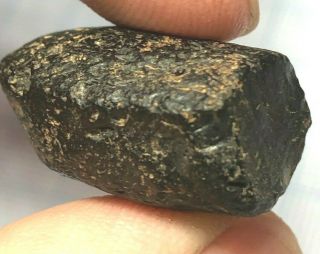 Australite 2: 5.  9g Australian Tektite From Meteorite Impact Half Dumbbell Shape