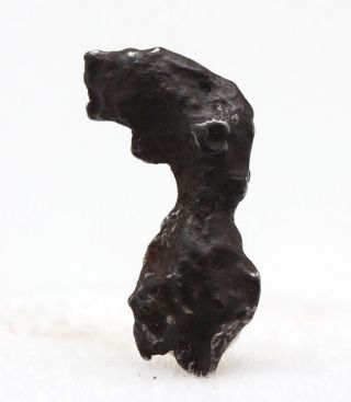 Sikhote - Alin Shrapnel Iron Meteorite Specimen Witnessed Fall Russia W/ Id Card