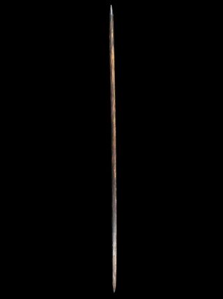 Rare Old Aboriginal Rainforest Digging Stick Mossman Qld 110cm