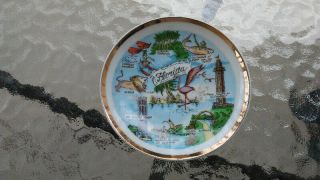 State Of Florida Souvenir Plate Rare Mid Century Cypress & Sunken Gardens Etc