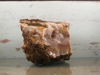 Yb Natural Petrified Opalized Wood Fossil Rough Lapidary.  4lbs 3oz {u12ab}
