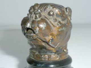 Antique Match Striker Holder Bull Dog Head Figural Vesta Case Spelter