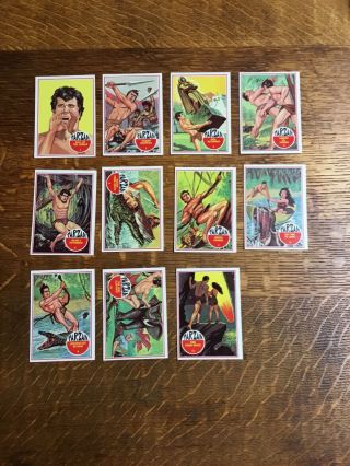 Nrmt 1966 Philadelphia Gum Co.  Tarzan Complete (66) Card Set
