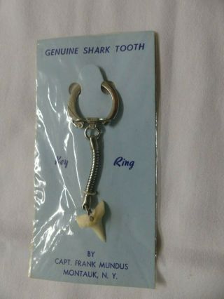 Geniune Shark Tooth Key Ring By Captain Frank Mundus (jaws) - Very Collectible