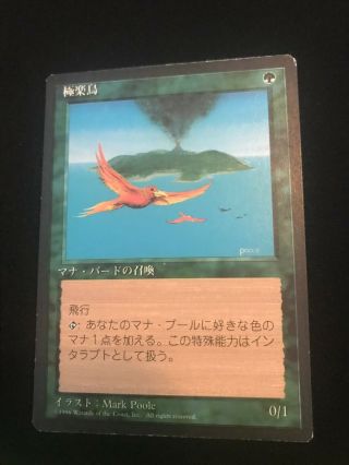 4th Edition Fbb Birds Of Paradise Japanese Magic The Gathering Mtg Lp