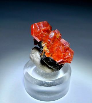 FIRE - Red Vanadinite crystal cluster on matrix,  TN mine Morocco 2