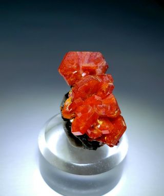 FIRE - Red Vanadinite crystal cluster on matrix,  TN mine Morocco 4