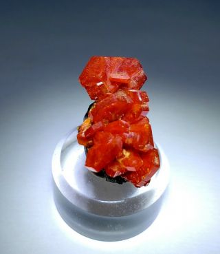 FIRE - Red Vanadinite crystal cluster on matrix,  TN mine Morocco 5