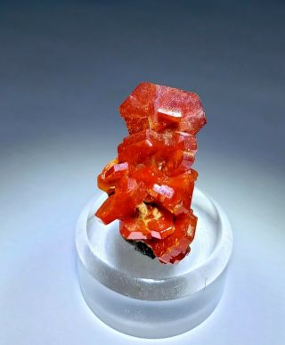 FIRE - Red Vanadinite crystal cluster on matrix,  TN mine Morocco 6