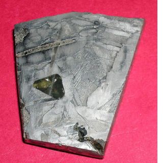 Seymchan Pallasite Meteorite 27.  2 Gram Etched Slice