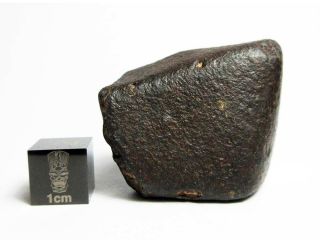 Nwa X Meteorite 52.  70g Fabulous Flight Marked Firestone