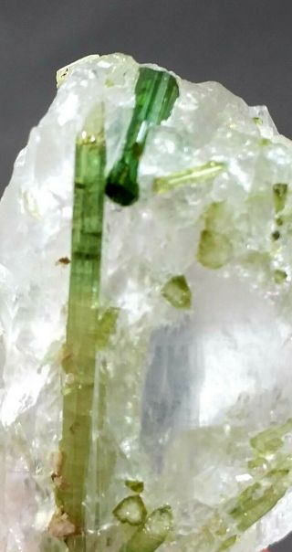 457 Carat Bi Color TOURMALINE Crystal On Quartz @Pak 4