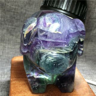 1.  6lb Natural Fluorite Pig Hand Carved Crystal Healing Hok1193