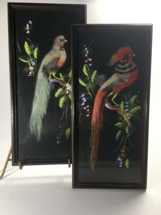 Vintage Pair Painted Mexican Feather Art Bird Picture Signed Frame 1935