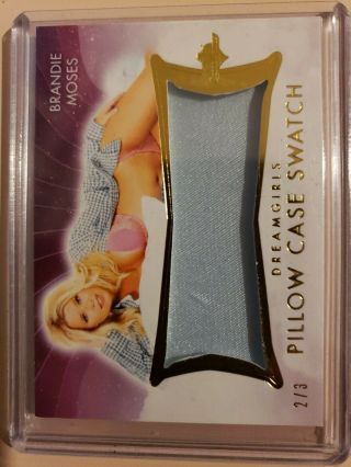 Playboy Benchwarmer Brandie Moses Playmate Pillow Case Swatch Dreamgirls 2/3.