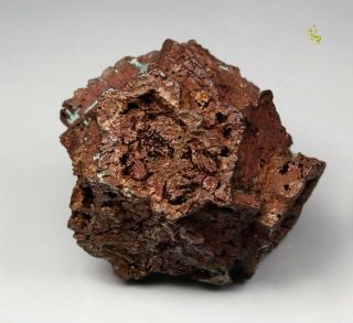 Quebul Fine Minerals - Copper Pseudomorph After Aragonite - Corocoro,  Bolivia