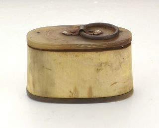 Antique Georgian Large Carved Horn Snuff Box With Hoop Handle - Early