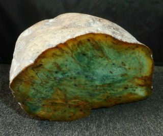 Washington State Countyside Jade Rough,  Almost 4 Pounds
