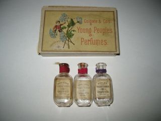 Antique Colgate Young People 