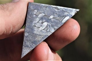 Seymchan Etched Meteorite 12.  9 Grams Part Slice