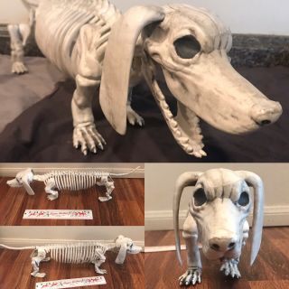Huge Dachshund Pvc 26 " Skeleton Halloween Doxie Weiner Dog Full Life Size Bones