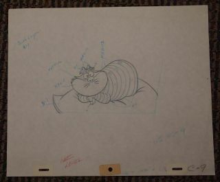 The Cheshire Cat Disney Alice In Wonderland Production Art Drawing Color Guide