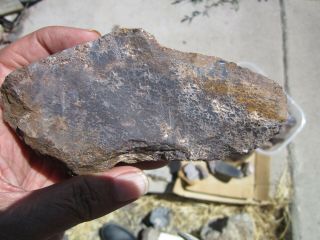 (br) Dinosaur Bone Rough Petrified Fossil