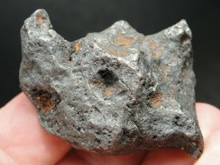 Meteorite - Campo Del Cielo - Iron Meteorite - Cdc - 4711 - 85.  56g Shape