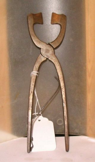 Antique Sugar Cube Cutter Tongs Kitchen Tableware Table Accessories Steel