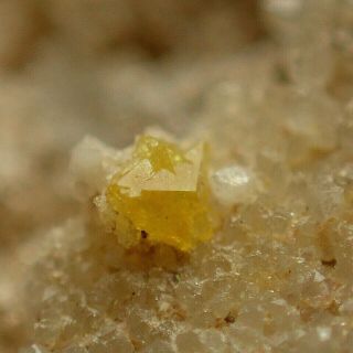 Eulytine Yellow Crystals On Quartz Rare Mechelgrün,  Germany