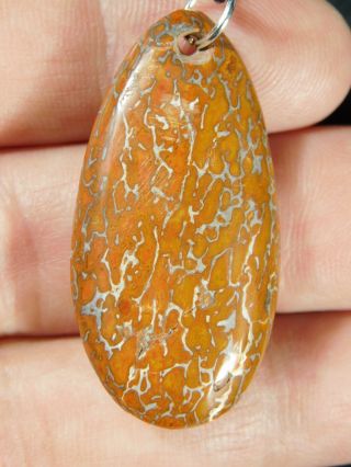 An Authentic Fossil Dinosaur Gem Bone Made Into A Pendant Or Necklace 1.  88 E