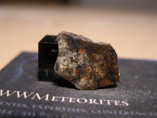 Meteorite Dar Al Gani 650 - Lybian Chondrite (l6)
