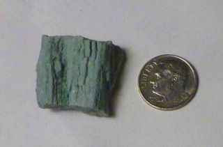 A,  Chromium X Rare Green Petrified Wood Limb Section Arizona 50cts