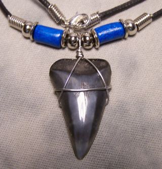 Wow 1 3/8 " Mako Shark Tooth Teeth Necklace Fossil Jaw Not Megalodon Scuba Dive