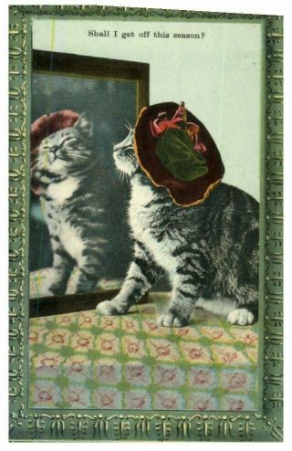 (f 34) Very Old Postcard Of Cat / Carte Ancienne Chat - Circa 1900 (no Stamp)