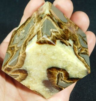 A Contrasting Colored Septarian Nodule Made Into A Standing Cube 319gr E