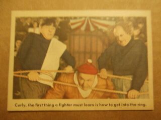1959 Fleer Three Stooges Trading Cards 63 Ex " Curly,  The First Thing A Fighter.