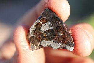 Brenham Meteorite Pallasite Part Slice 3.  5 Grams