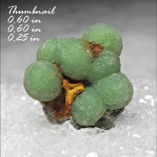 Wavellite Arkansas Minerals Specimens Crystals Gems - Thn