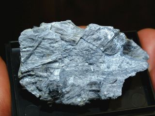 Magnesio - Riebeckite (crocidolite),  Blue Fibrous Rare Mineral In Display Case