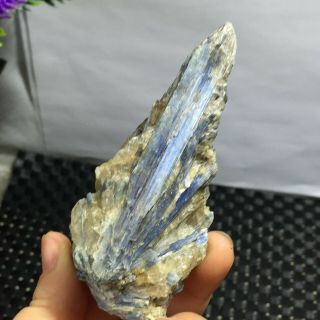 Blue Crystal Natural Kyanite Rough Gem stone mineral Specimen 127g b23 5
