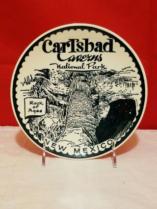 Vintage Carlsbad Caverns National Park Mexico Souvenir Collectors Plate