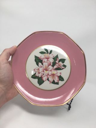 The Greenbrier WV West Virginia - Souvenir Collectible Plate - 8 