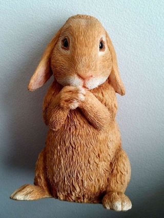 Country Artists Honey Dwarf Lop Eared Rabbit Hand Painted & Crafted Bunny
