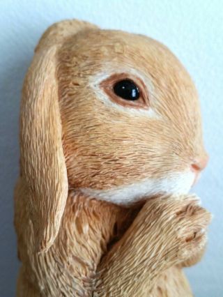 Country Artists Honey Dwarf Lop Eared Rabbit Hand Painted & Crafted Bunny 3